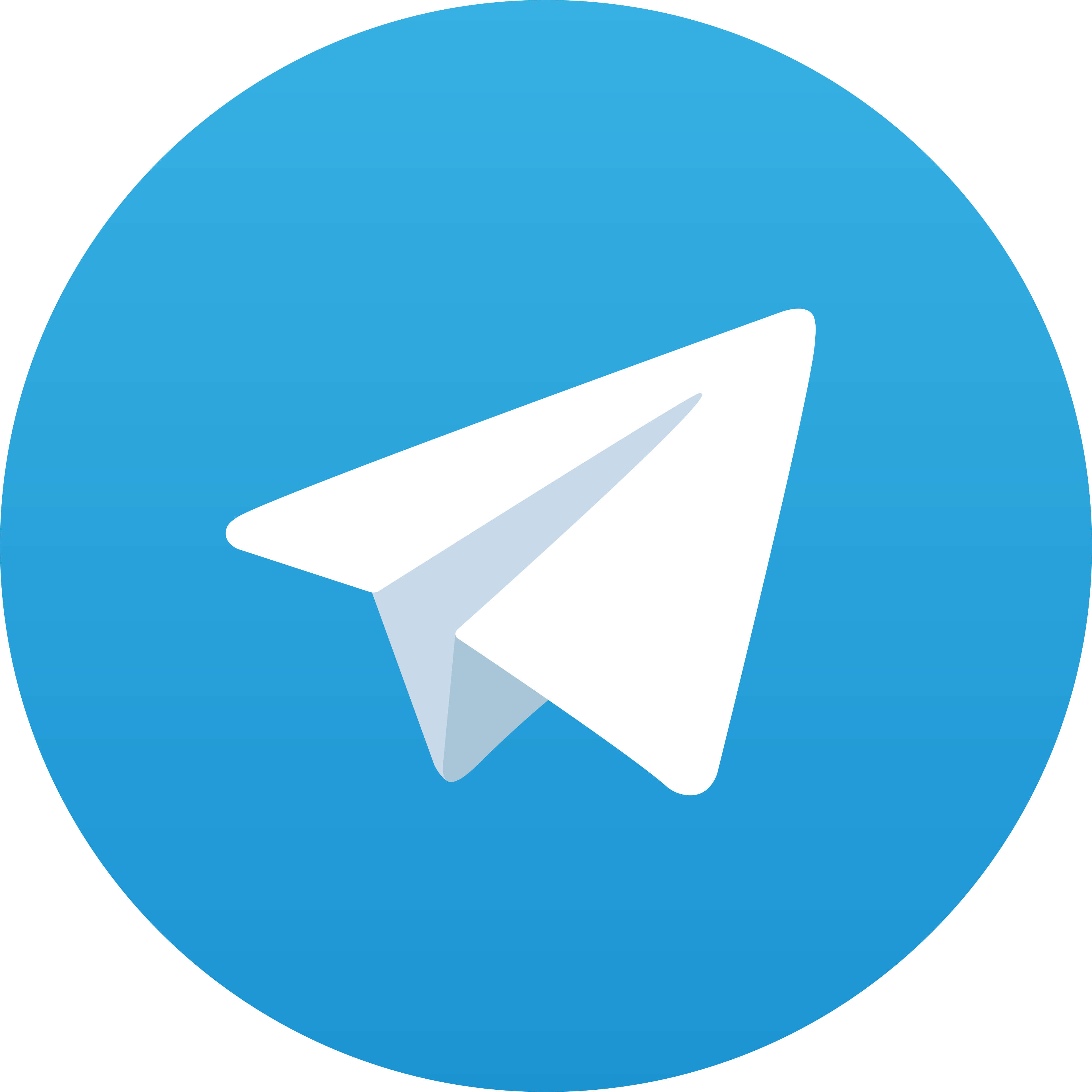 Telegram FORSA77